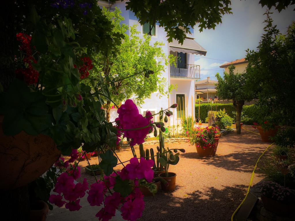 Bed & Breakfast Don Carlos San Martino di Lupari Екстериор снимка